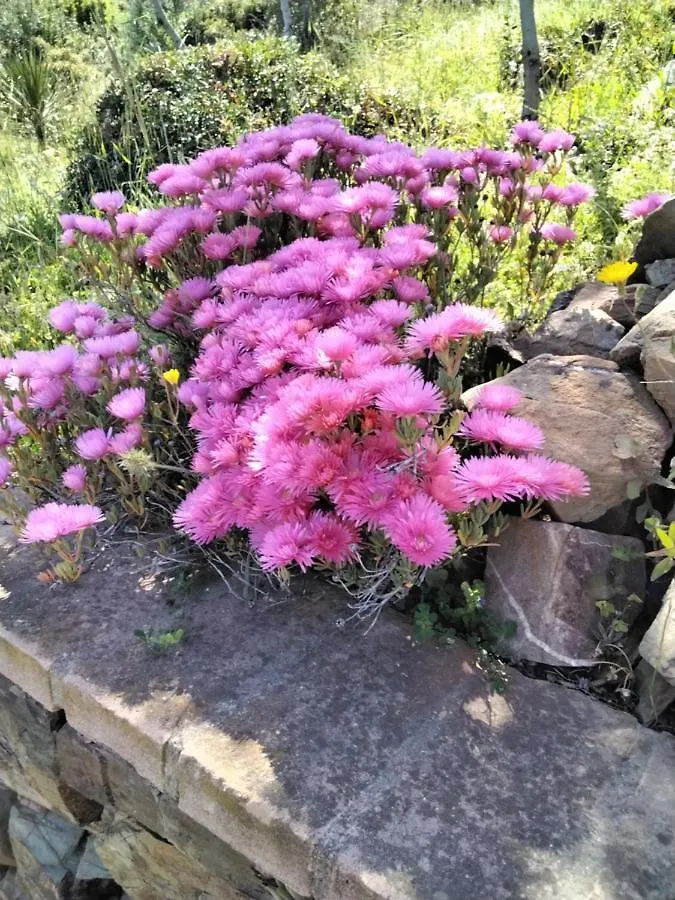 La Rosa Dei Venti Bed & Breakfast Villaputzu Italy