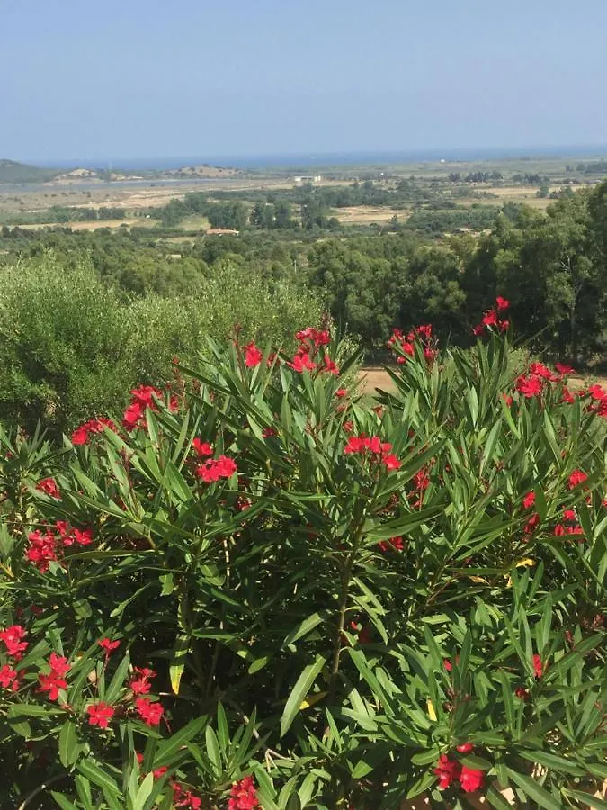 La Rosa Dei Venti Bed & Breakfast Villaputzu